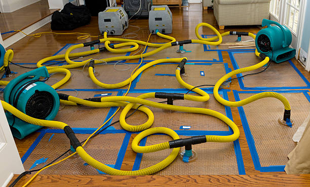 Professional Sewage Cleanup technician working in Waltham, MA